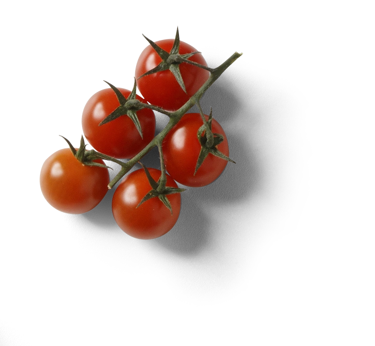 Basiron The Art of Flavour Tomaat