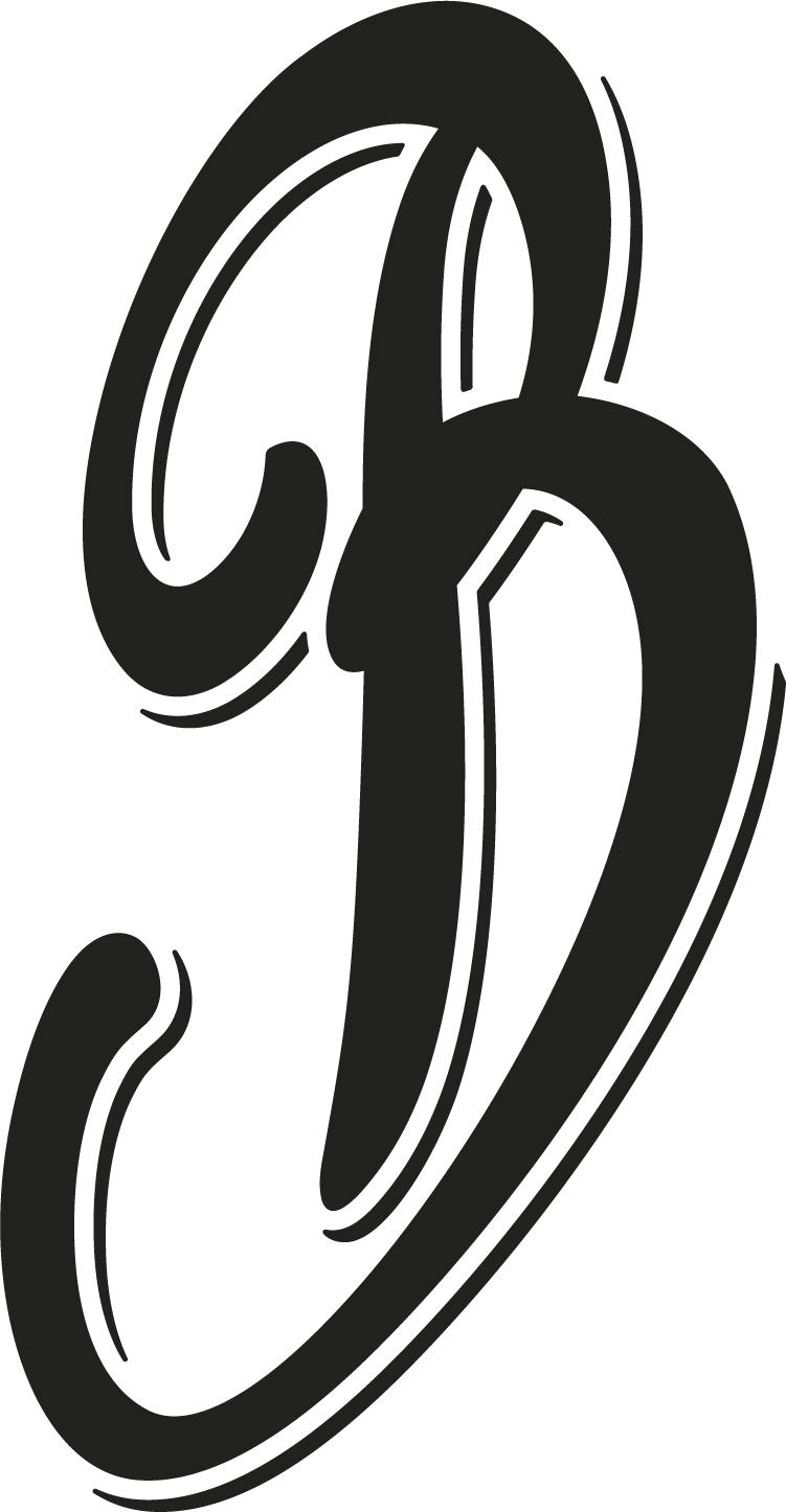 Basiron Logo Beeldmerk